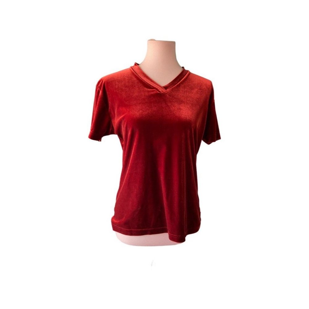 Large | Vintage 90's Rust Velvet V-neck fitted tee
